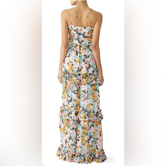 GUC AMUR- Drew Gown in Brushstroke Floral. Size 10 - Picture 3 of 16